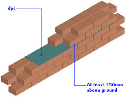 An image showing the 'Damp proof course' layer. 